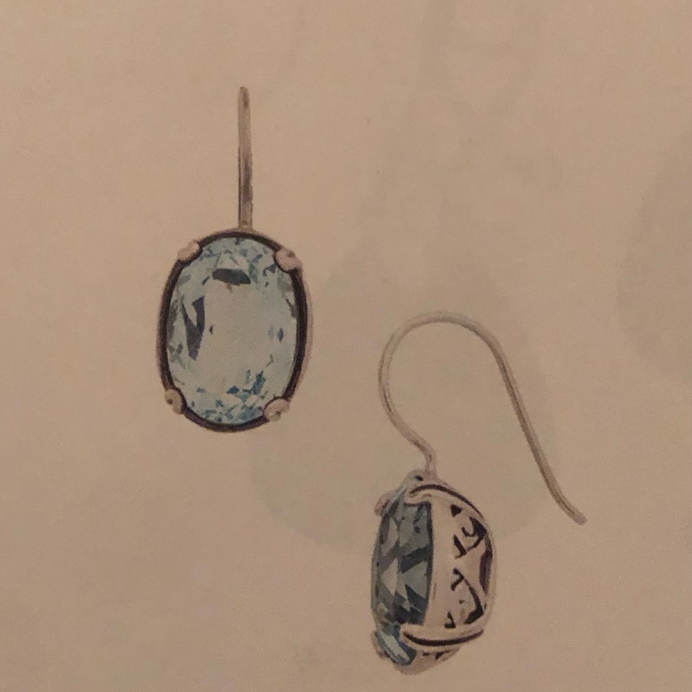 Blue Pool Earrings